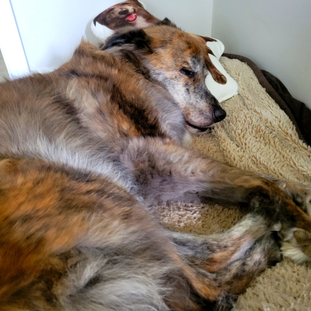 Meet your Posher, Rebecca